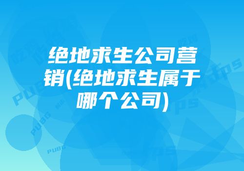 绝地求生公司营销(绝地求生属于哪个公司)